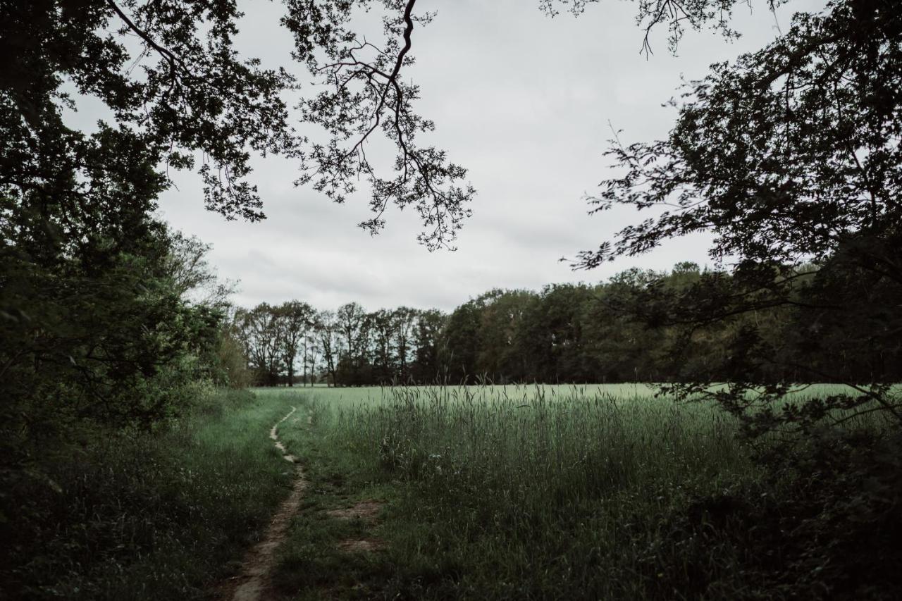 Chateauhotel De Havixhorst Schiphorst エクステリア 写真
