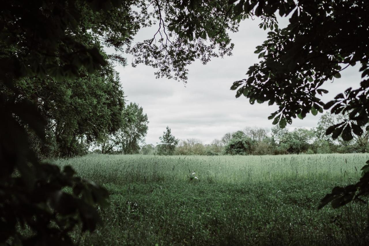 Chateauhotel De Havixhorst Schiphorst エクステリア 写真